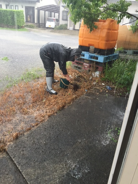 6 23 雨ニモ負ケズ 豪雨うなぎ釣り 伊万里店 つり具の加藤 スタッフ釣行記 6 23 雨ニモ負ケズ 豪雨うなぎ釣り 伊万里店 つり具の加藤 スタッフ釣行記