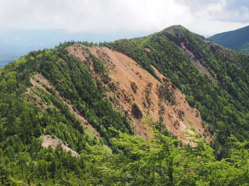 b0335256_21374794.jpg