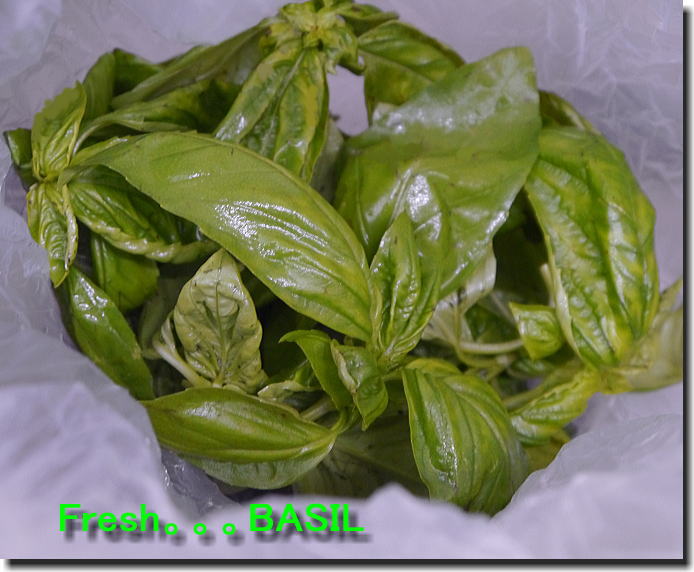 Basil...頂きました❤_f0178858_19274897.jpg