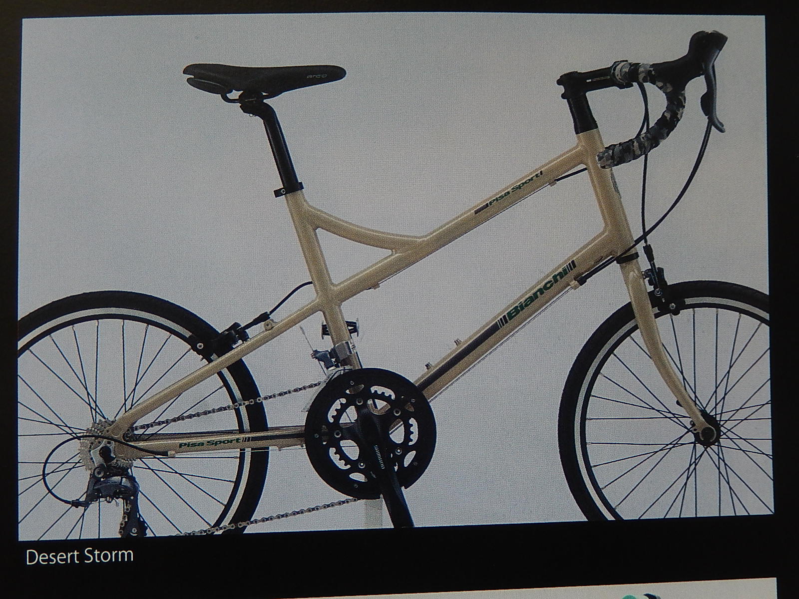 2017年モデル Bianchi 公開_e0188759_18361118.jpg