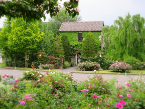f0236260_2247519.jpg