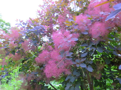 f0236260_2250436.jpg