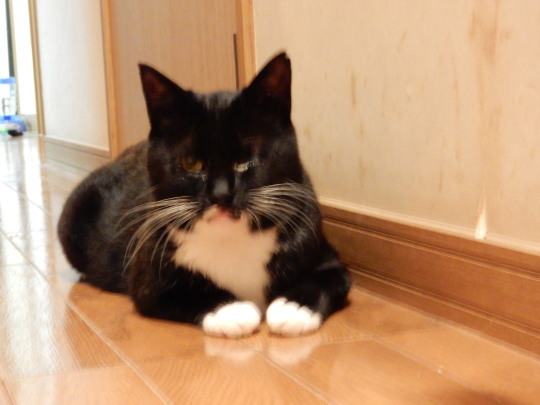 就寝前の決まり事_e0355177_15460284.jpg