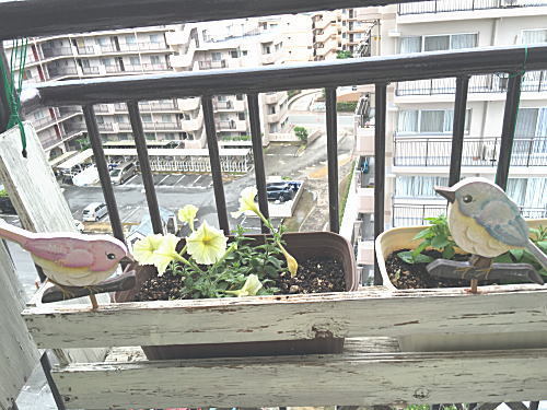 鳥さん第２弾ができました、やっと(^^)_f0014980_13012205.jpg