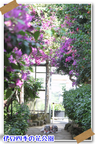 16年6月17日 伊豆四季の花公園 伊豆高原花しょうぶ園 週末は 愛犬モモと永吉 拓海とお出かけ Kimi S Eye