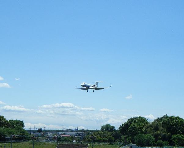 f0365685_20275012.jpg