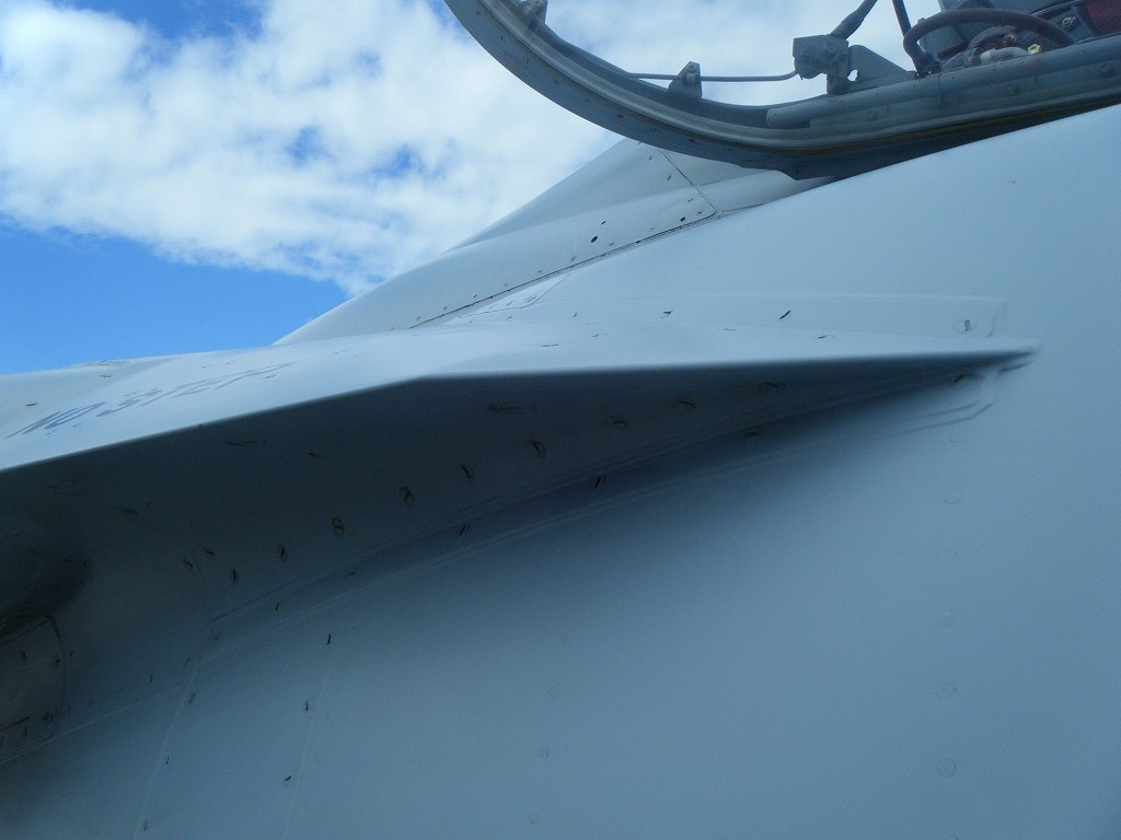 f0365685_20294084.jpg