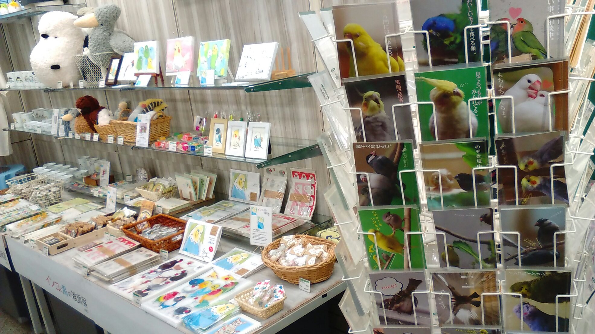 東急ハンズ三宮店インコと鳥の雑貨展7月2日練りきり販売_d0322493_0313588.jpg