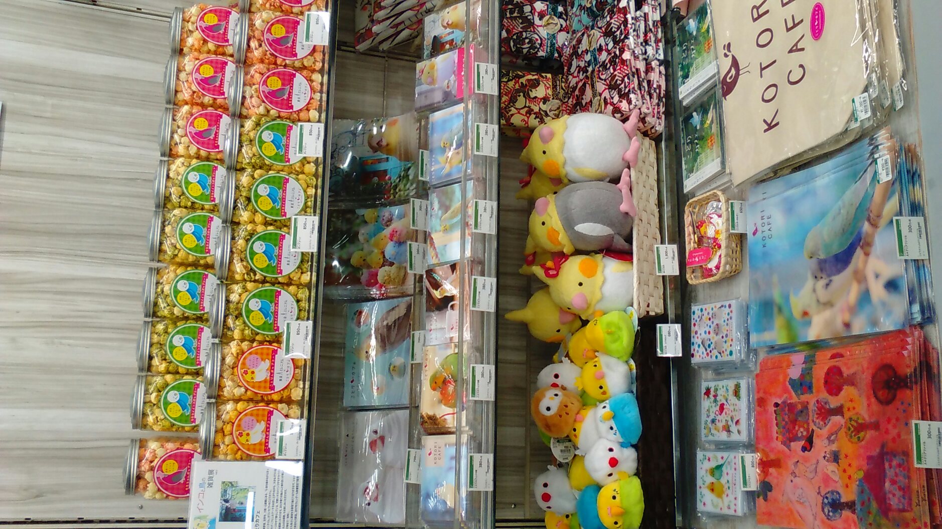 東急ハンズ三宮店インコと鳥の雑貨展7月2日練りきり販売_d0322493_0331867.jpg
