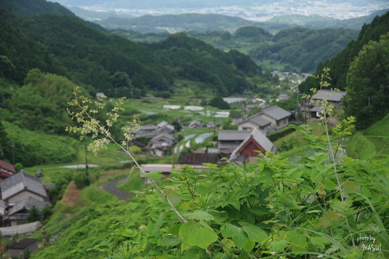 桜井　明日香遠望_d0342307_22324674.jpg