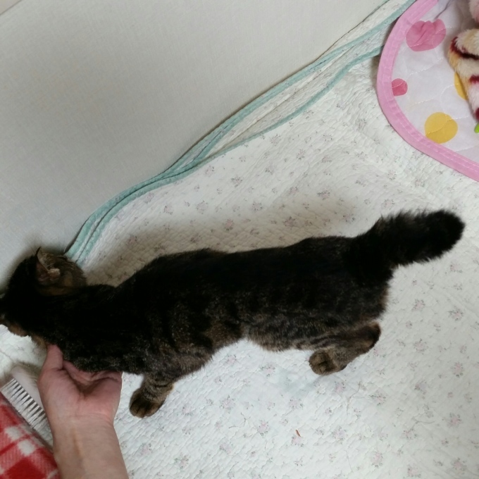 e0144012_14510278.jpeg