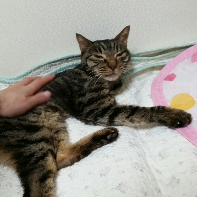 e0144012_14535450.jpeg