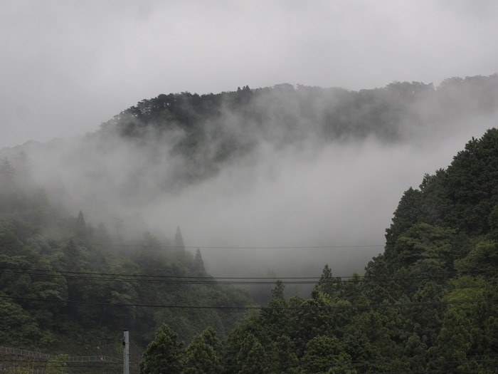 一日雨で、霧_c0116915_055364.jpg