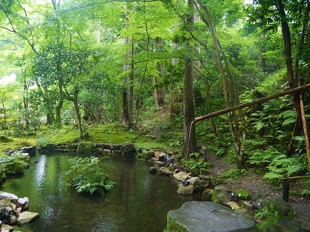 雨の三千院は、風情があって良かった_c0204121_8585447.jpg