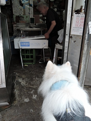 折り返し_c0062832_9533019.jpg