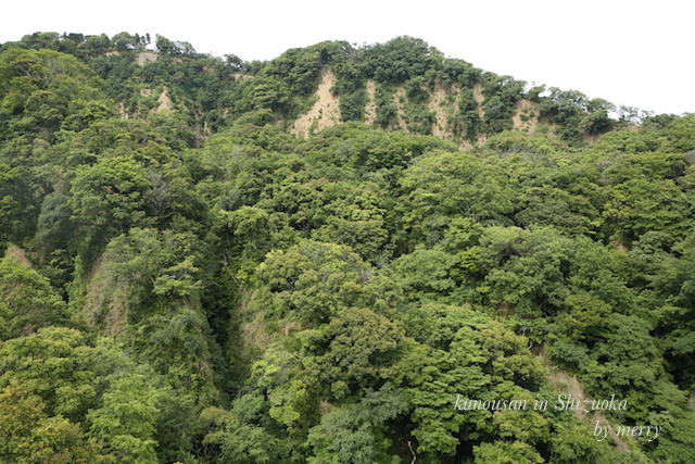 a0207736_041919.jpg