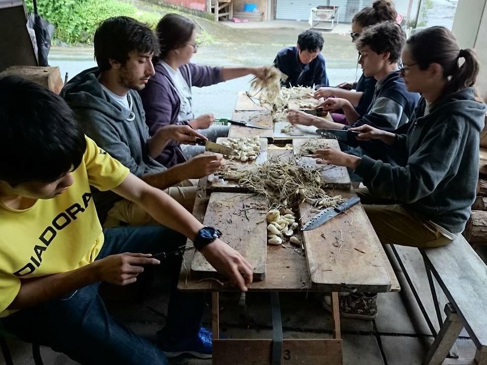 f0187336_19504004.jpeg