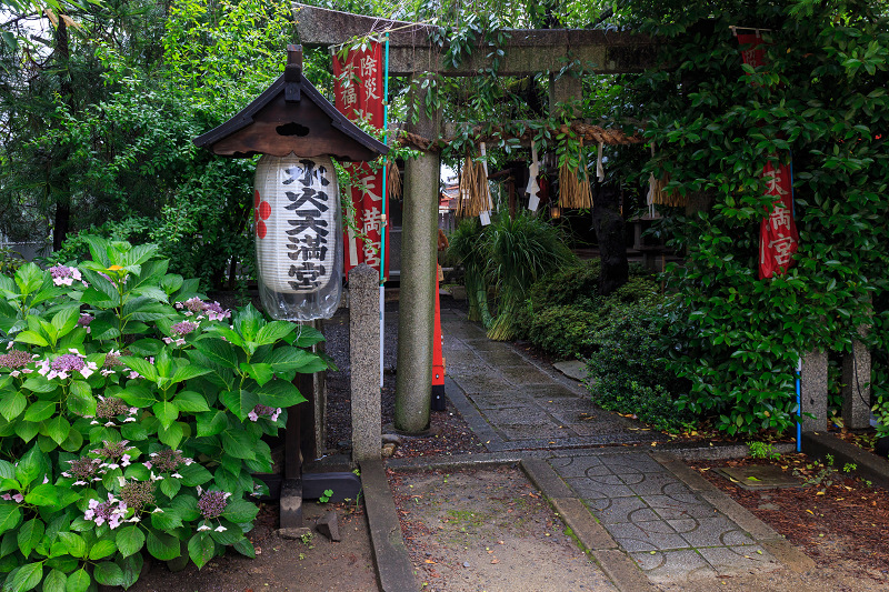 夏越の祓　茅輪めぐり_f0155048_22451425.jpg