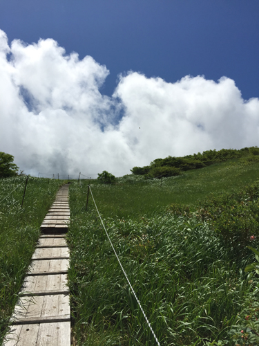 新潟・浅草岳（1585.5ｍ）へ　6/25～27　３日目_f0007956_984830.jpg