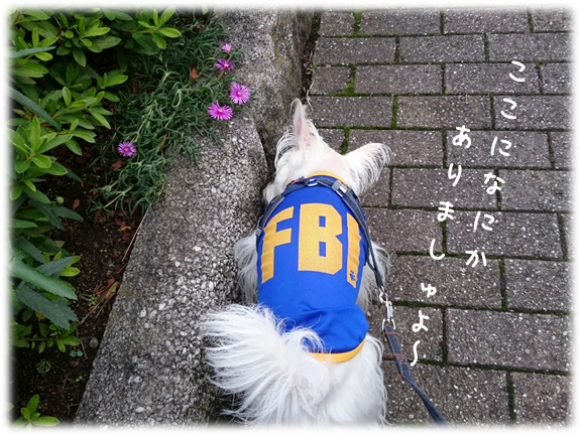b0242873_00221516.png