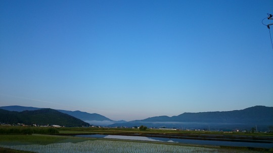 b0224776_14113890.jpeg