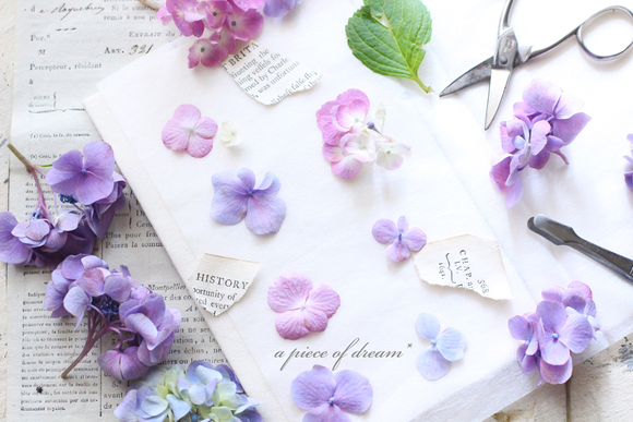 紫陽花 を簡単 押し花にして インテリア雑貨 フォト雑貨 の作り方 A Piece Of Dream 植物とdiyと