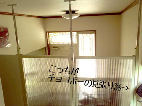 a0308381_15241480.jpg