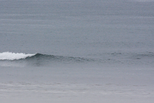 b0176483_18283579.jpg