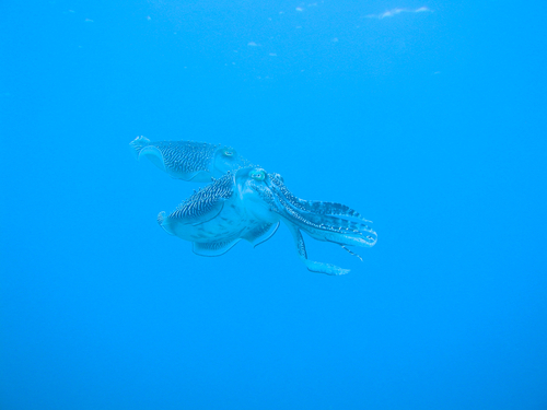 d0175187_192325.jpg