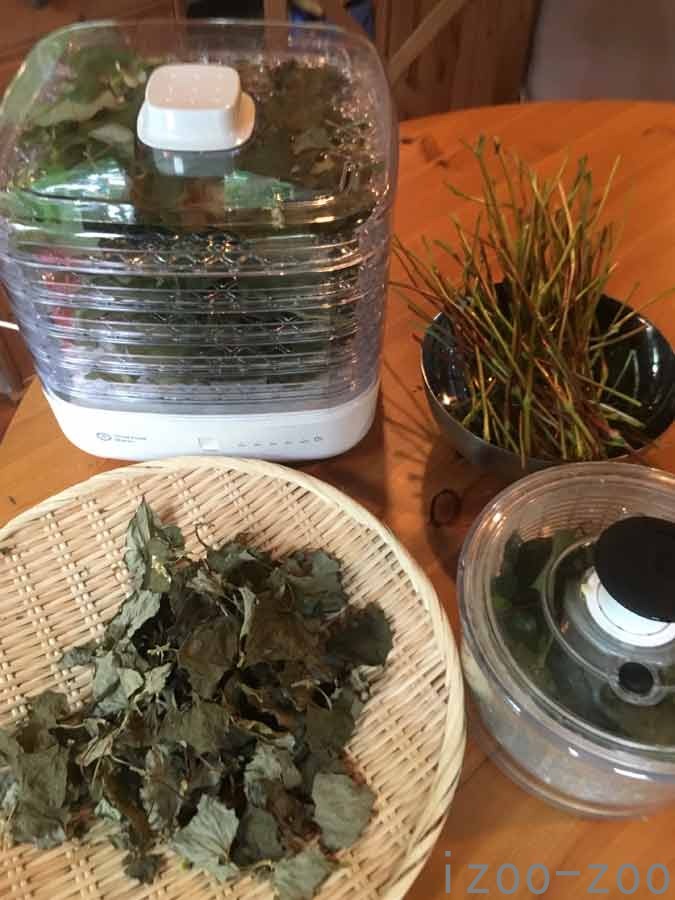 ドクダミ茶作り〜_c0223095_14173618.jpg