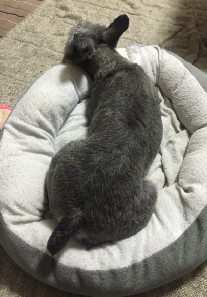 b0188998_21272977.jpeg