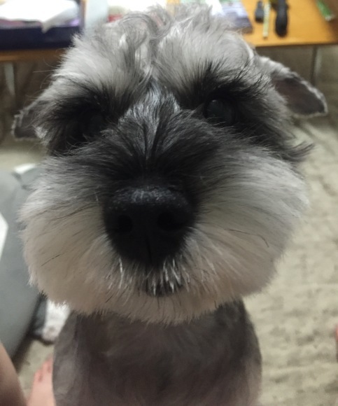 b0188998_21274030.jpeg