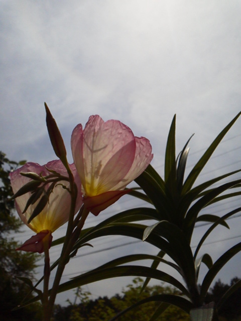 c0272200_13254427.jpg