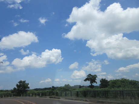 a0203003_19481652.jpg