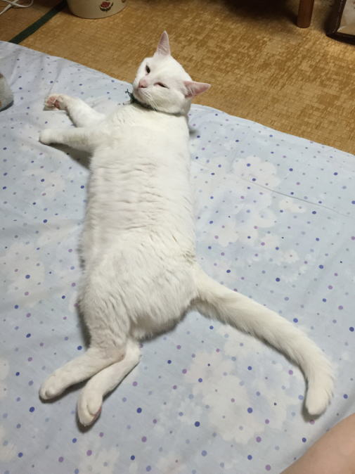 c0180209_02012814.jpg