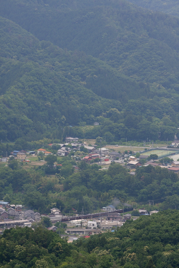 街から山へ - 2016年初夏・秩父 - _b0190710_23492555.jpg