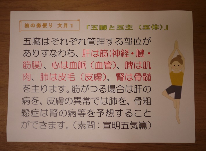 五臓と五主(五体)_f0354314_09570990.jpg