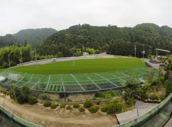 曇り時々晴れ_c0116915_015163.jpg