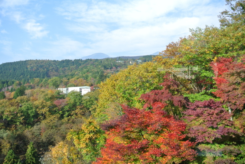 2015.10　JTCC　ホテルジャパン日光　⑥　食事_e0219520_17473904.jpg