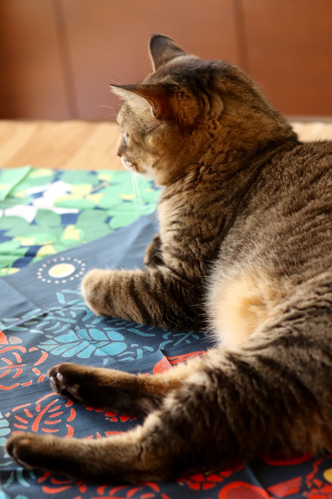 文月の手ぬぐい 鬼灯提灯 ゆきなそう 猫とガーデニングの日記 文月の手ぬぐい 鬼灯提灯 ゆきなそう 猫とガーデニングの日記
