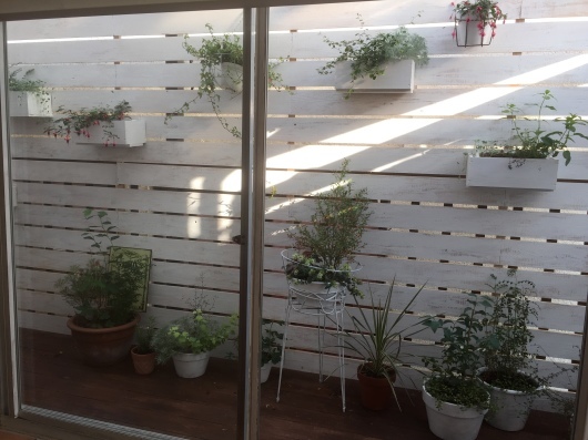 d0183423_01203186.jpeg