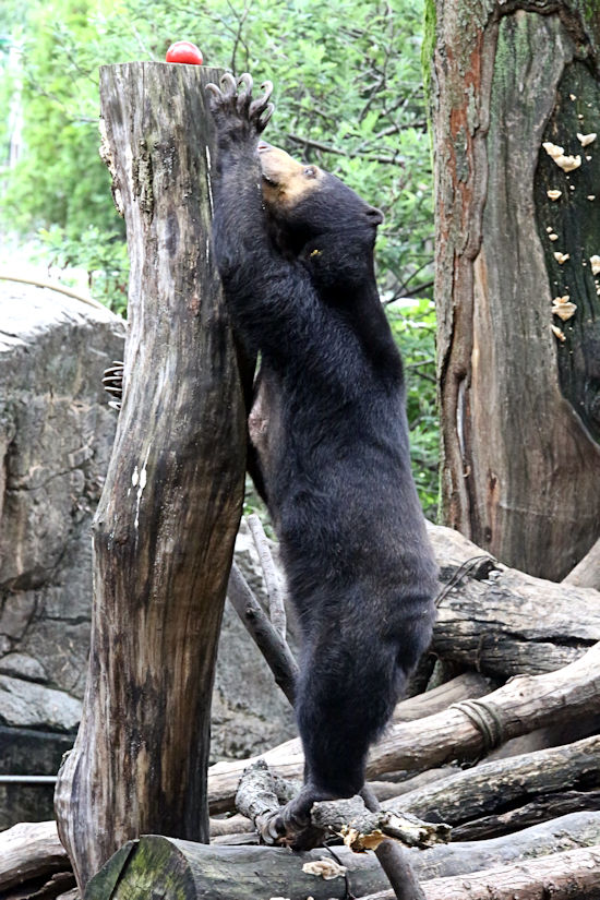 f0224624_23224684.jpg