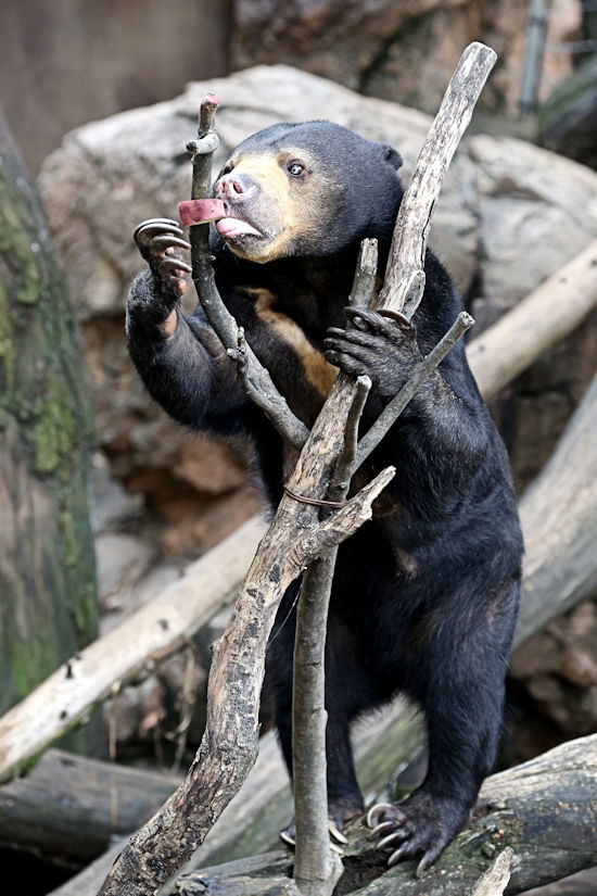 f0224624_23251617.jpg