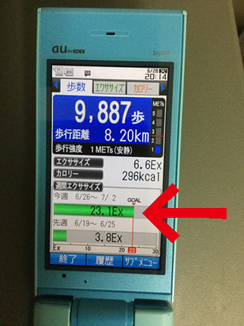 e0138031_733133.jpg