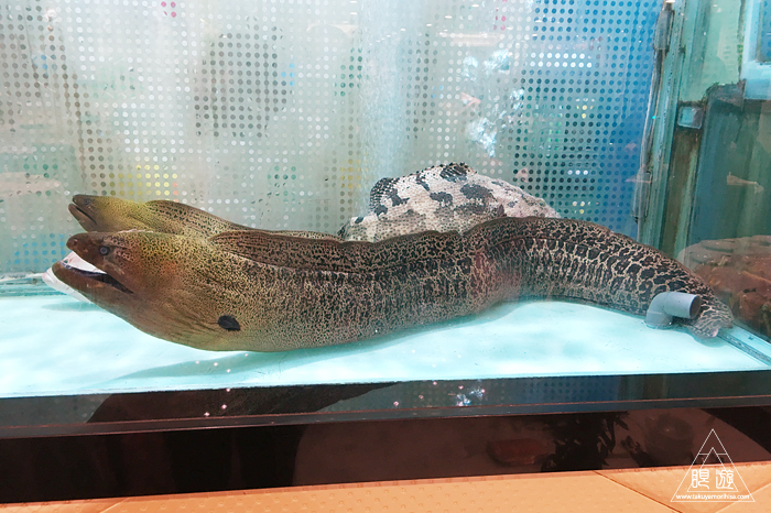 509 Tai Kok Tsui ~ウツボが高級品~_c0211532_1345193.jpg