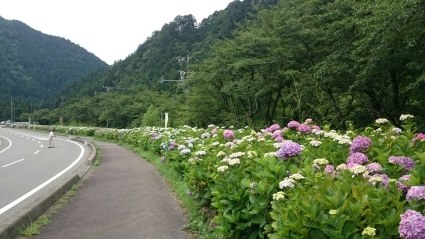 c0295742_00163567.jpg