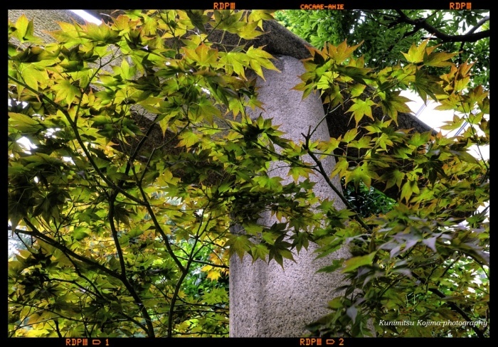 c0236843_22260700.jpg