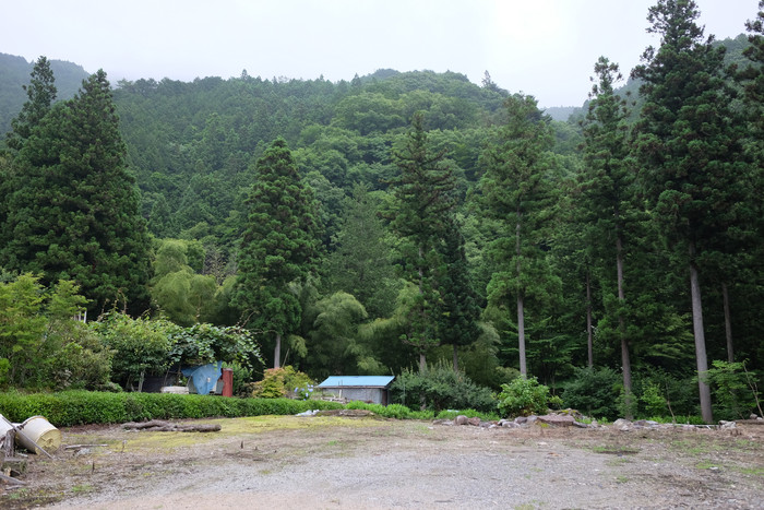 July 1, 2016 癒しの里山_e0009147_1931718.jpg