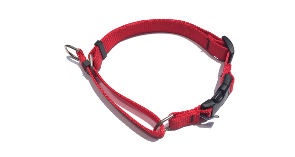 CETACEA Soft Martingale Dog Collar シターシャ ソフト マーチンゲールカラー _d0217958_12155047.jpg