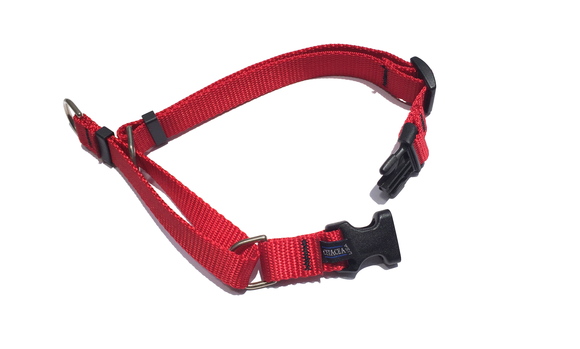 CETACEA Soft Martingale Dog Collar シターシャ ソフト マーチンゲールカラー _d0217958_12183663.jpg